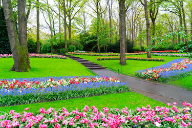 Similar image 22137195