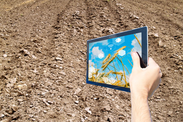 Similar image 22137196