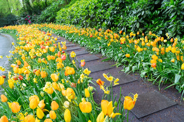 Similar image 22137197