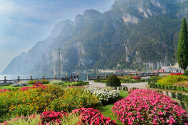 Similar image 22137199