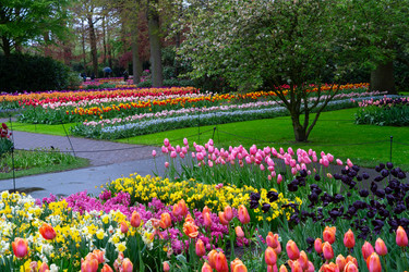 Similar image 22137201