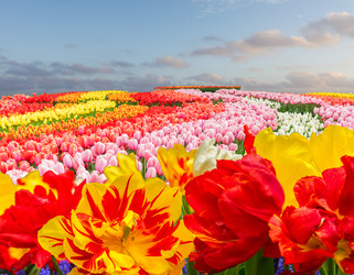 Similar image 22137202