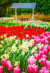 Similar image 22137203