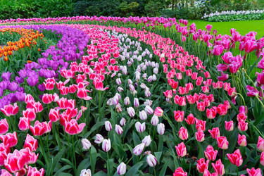 Similar image 22137204