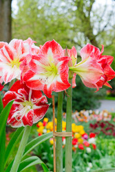 Similar image 22137205