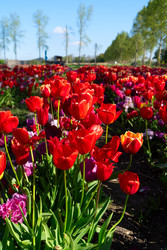 Similar image 22137207