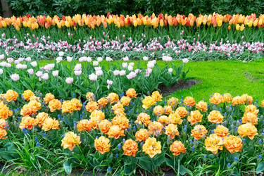 Similar image 22137208