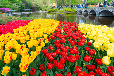 Similar image 22137209