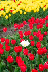 Similar image 22137210