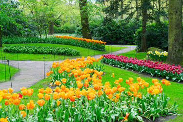 Similar image 22137213