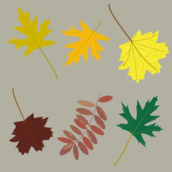 Similar image 22133116