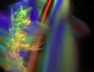 Similar image 22133819