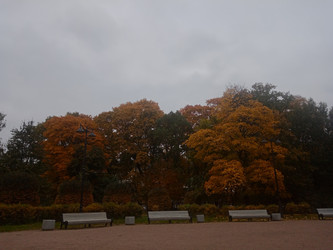 Similar image 22141257