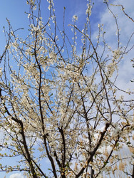 Similar image 22141259