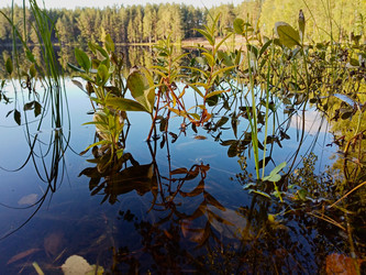 Similar image 22141262