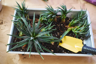 Similar image 22141107