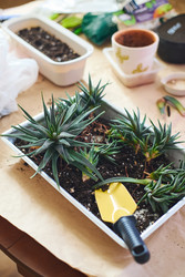 Similar image 22141109