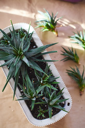 Similar image 22141113