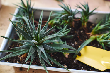 Similar image 22141114