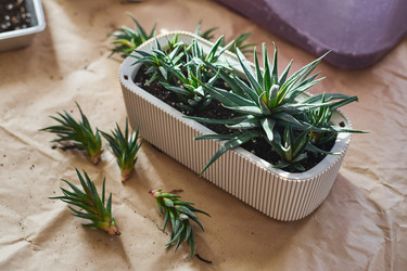 Similar image 22141115