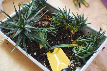 Similar image 22141117