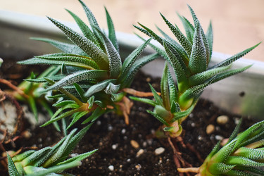 Similar image 22141118