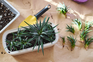 Similar image 22141119