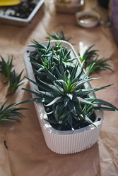 Similar image 22141120