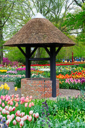 Similar image 22136982