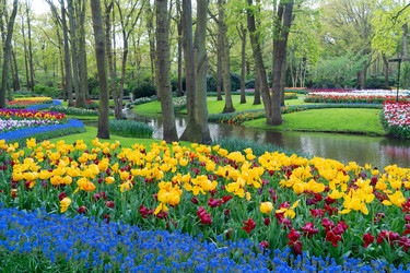 Similar image 22136983