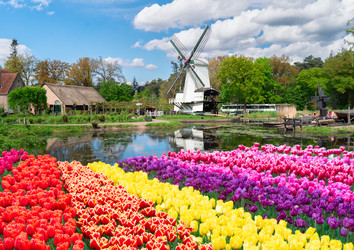 Similar image 22136985