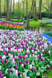 Similar image 22136986