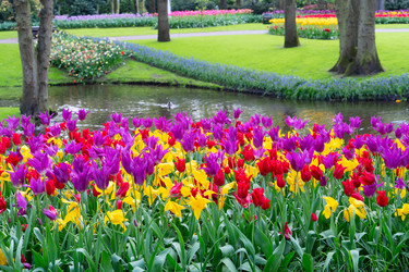 Similar image 22136987