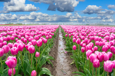 Similar image 22136988