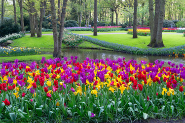 Similar image 22136990