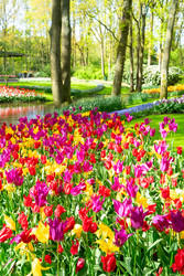 Similar image 22136991