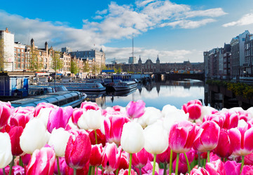 Similar image 22136993