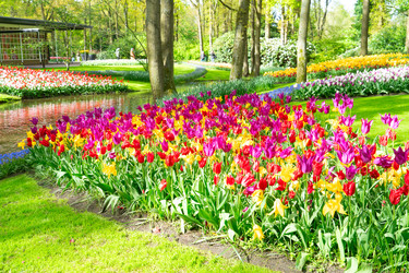 Similar image 22136994