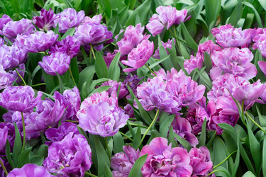 Similar image 22136995