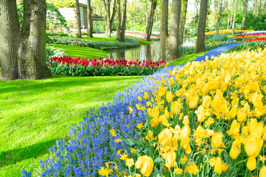 Similar image 22136996