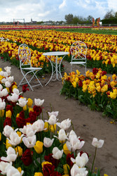 Similar image 22136997