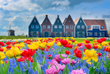 Similar image 22136998