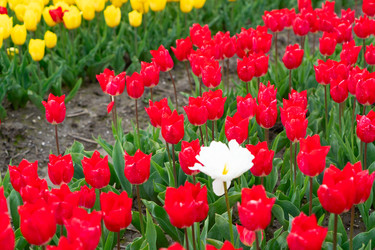 Similar image 22137000