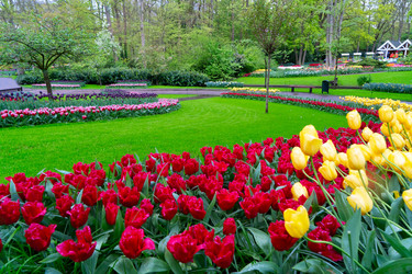 Similar image 22137001