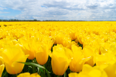 Similar image 22137216