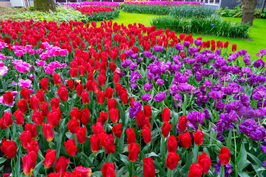 Similar image 22137217