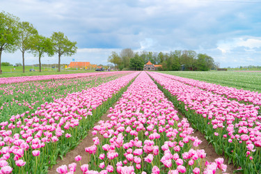 Similar image 22137220