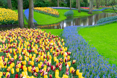 Similar image 22137221