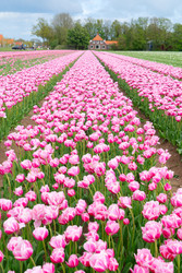 Similar image 22137224