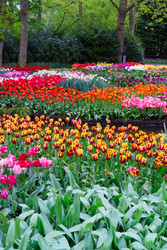 Similar image 22137225